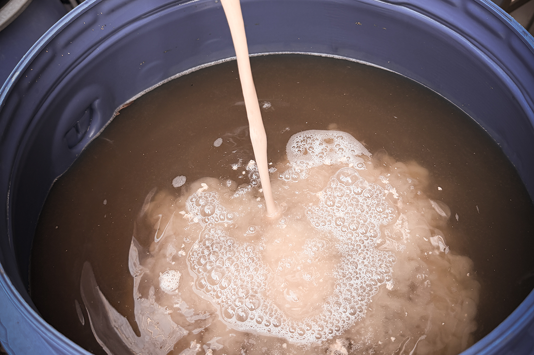 Wild yeast being pitched into a fermenter.